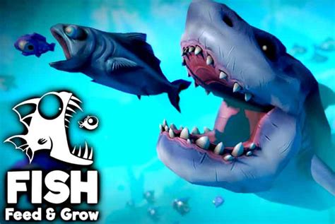 feed and grow fish free download (v0 14.1 3)